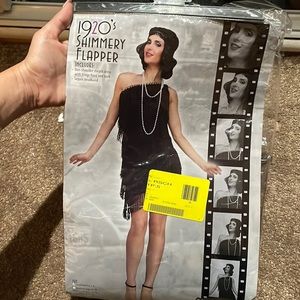 1920 Shimmery Flapper Costume